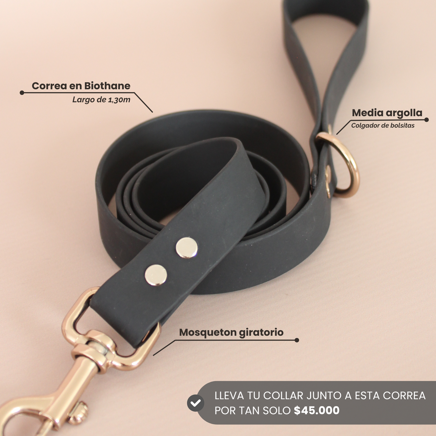 Collar Artesanal para Perros | Mystic Gold